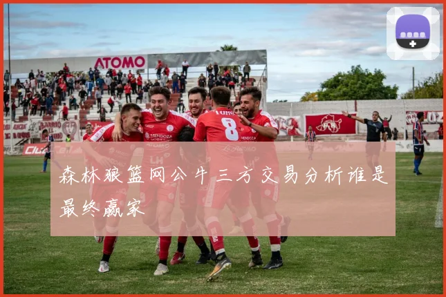 森林狼篮网公牛三方交易分析谁是最终赢家