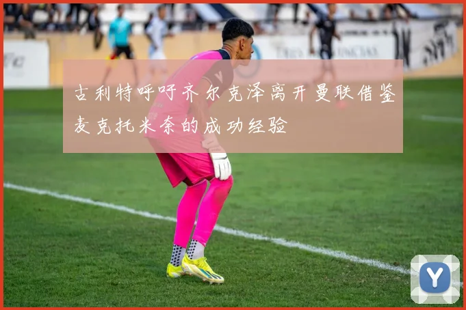 古利特呼吁齐尔克泽离开曼联借鉴麦克托米奈的成功经验